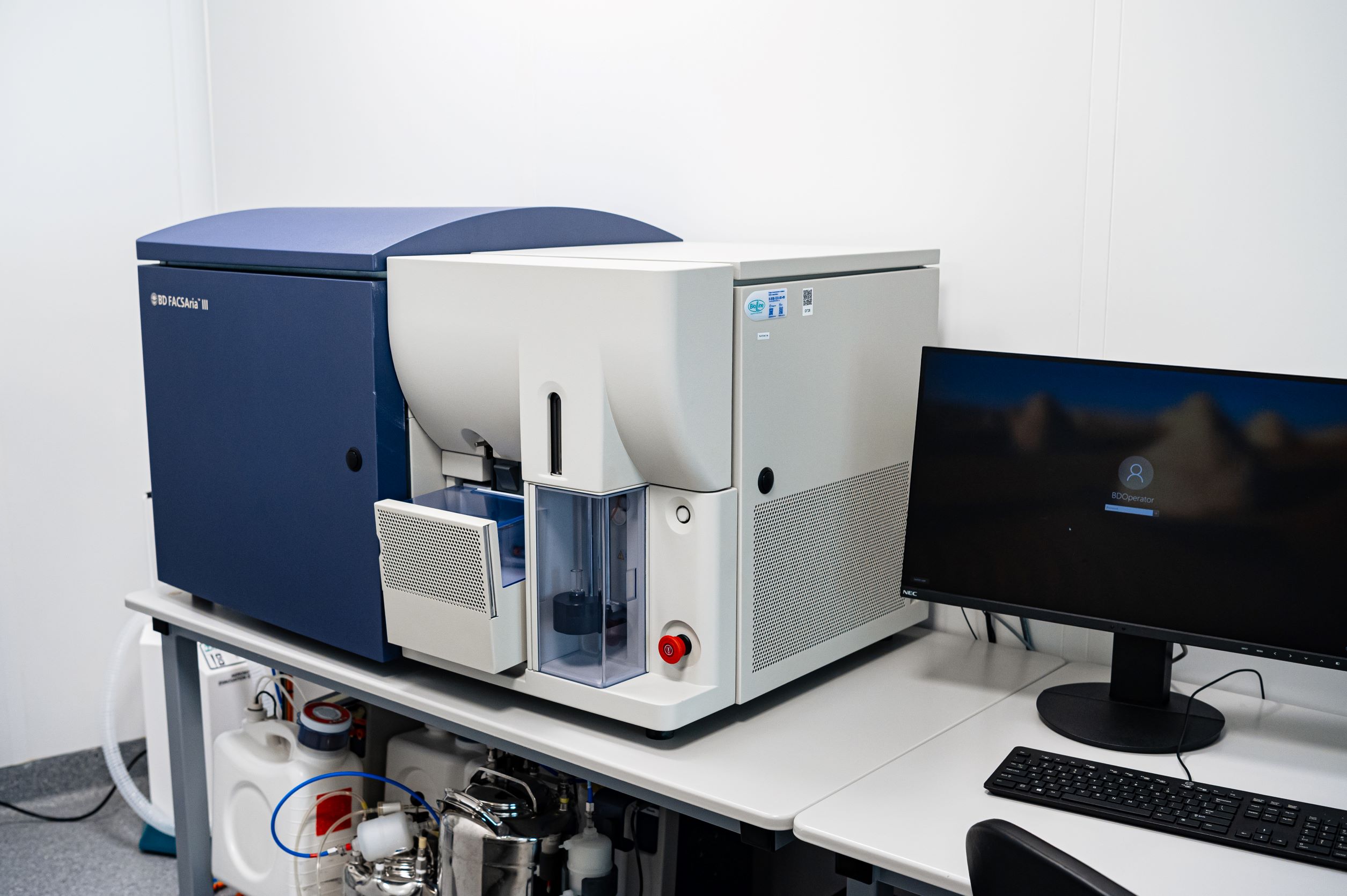 Сортер клеток FACSAria III (BD Biosciences), 4 лазера, 16 фл.параметров, с системой AMS